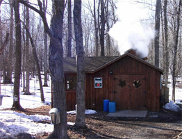 newyork_mapleweekend