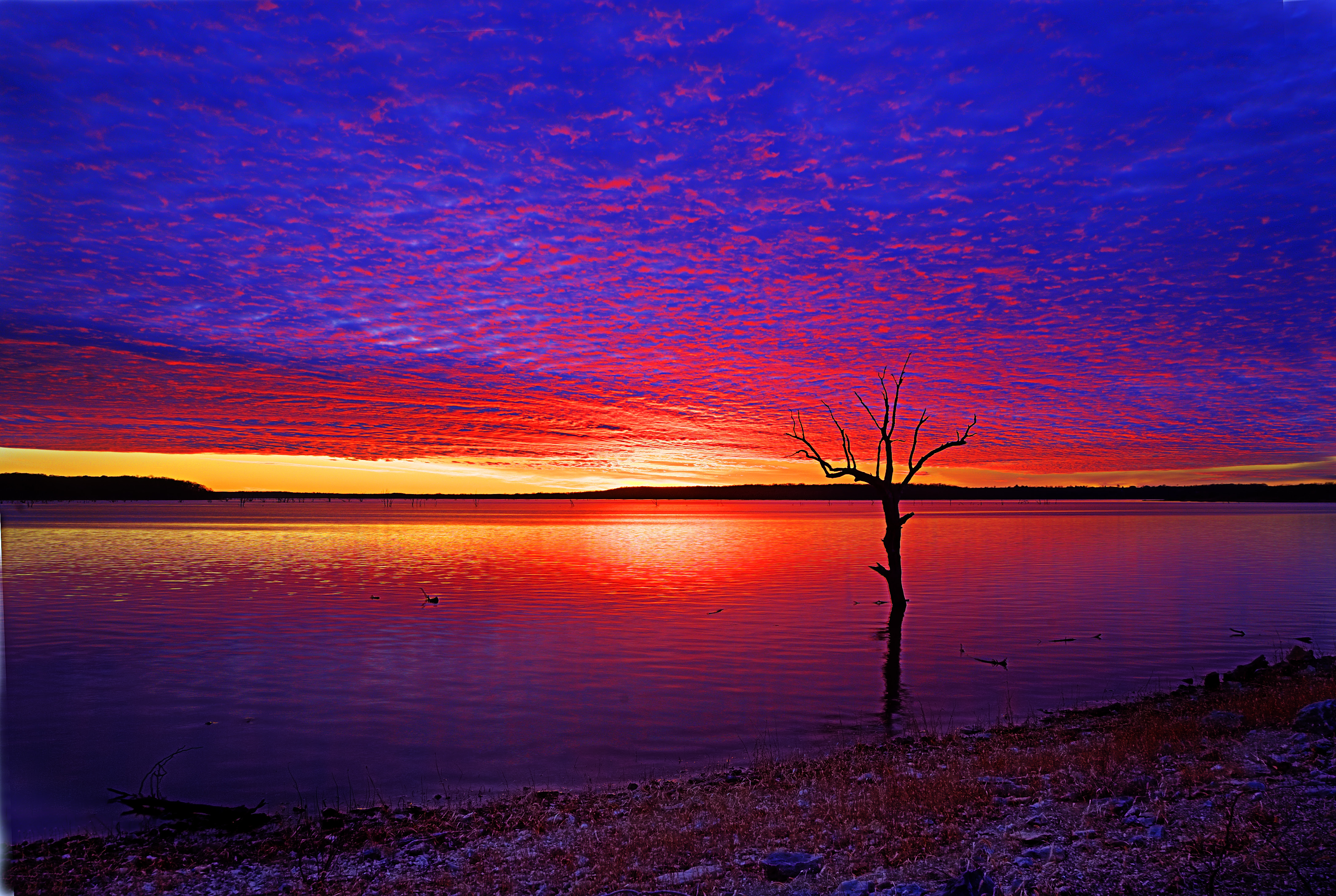 フリー画像 自然風景 湖の風景 樹木の風景 夕日 夕焼け 夕暮れ アメリカ風景 フリー素材 画像素材なら 無料 フリー写真素材のフリーフォト