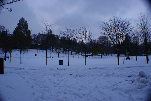 Princes Street Gardens, empty