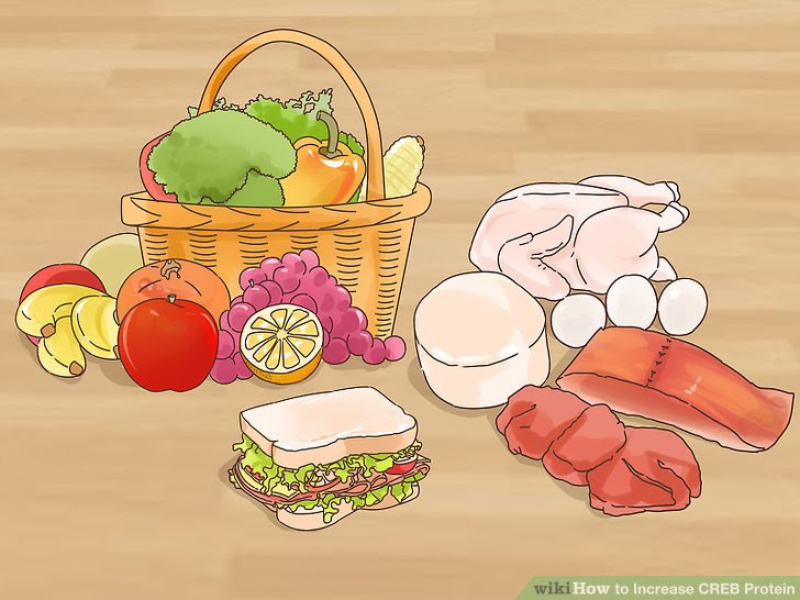 Increase Creb Protein Step 2.jpg