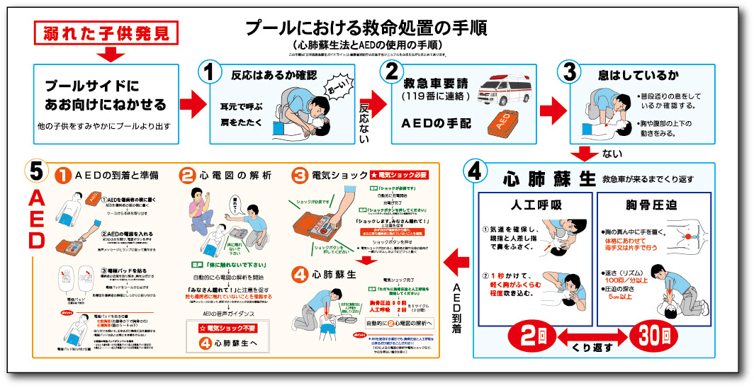 心肺蘇生法 心肺蘇生法手順 救急処置法イラストパネル
