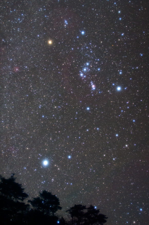 昇るオリオン座 天体写真の世界
