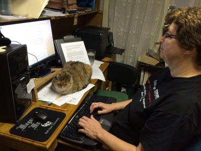 cat