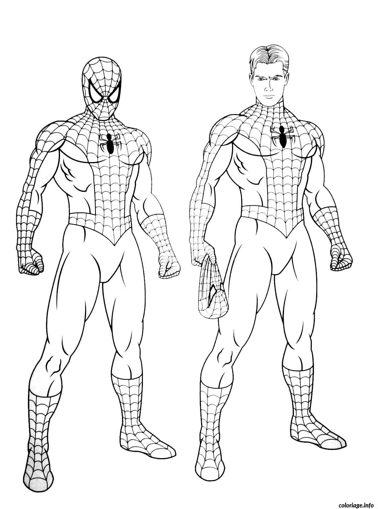 Coloriage Spiderman 224 Dessin   Imprimer