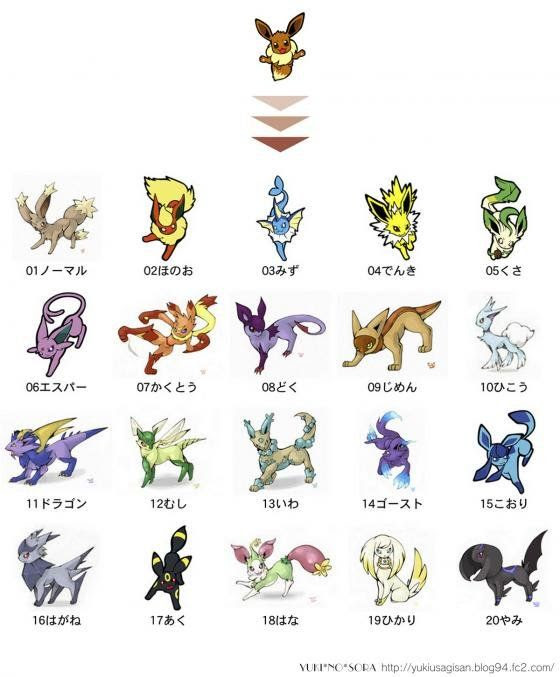 イーブイ進化系種 ポケットモンスター ブラック ホワイト 箱ダケ