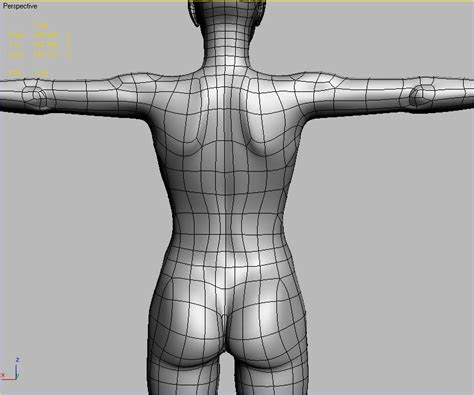 Lecture notes human anatomy and physiology. Female back anatomy