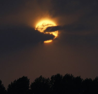 endofworld.JPG