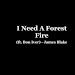 Need A Forest Fire Lyrics Free Download Youtube Mp3 and Mp4