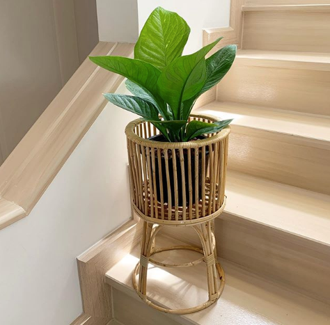 14+ Bamboo Plant Stand