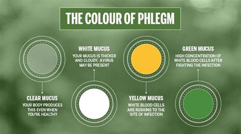  phlegm color chart damertampa phlegm color chart hereqfile covid
