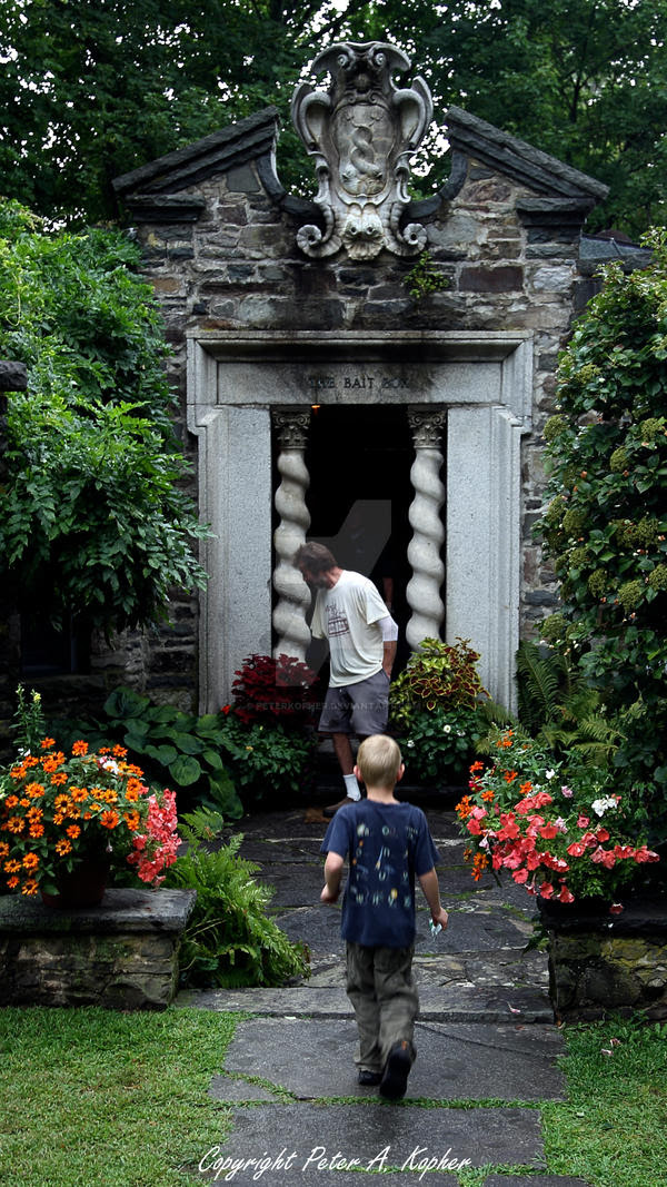 Coming and Going by peterkopher