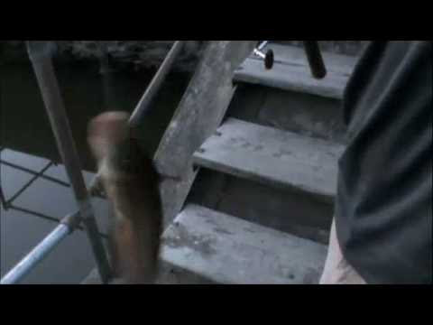 WNYSPORTSMAN-Bullhead Fishing