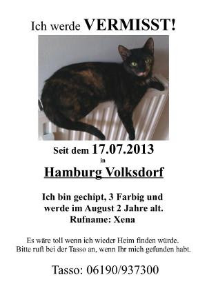 Katze vermisst in Hamburg - Vermisst & gefunden ...
