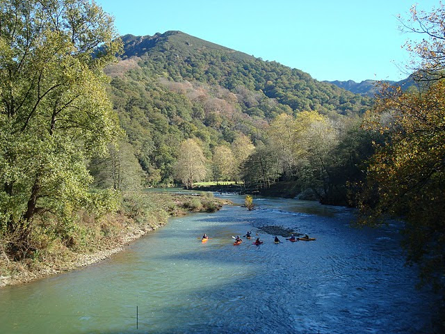 DSC04498