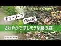 [10000印刷√] 夏 白い 小さな 花 263549