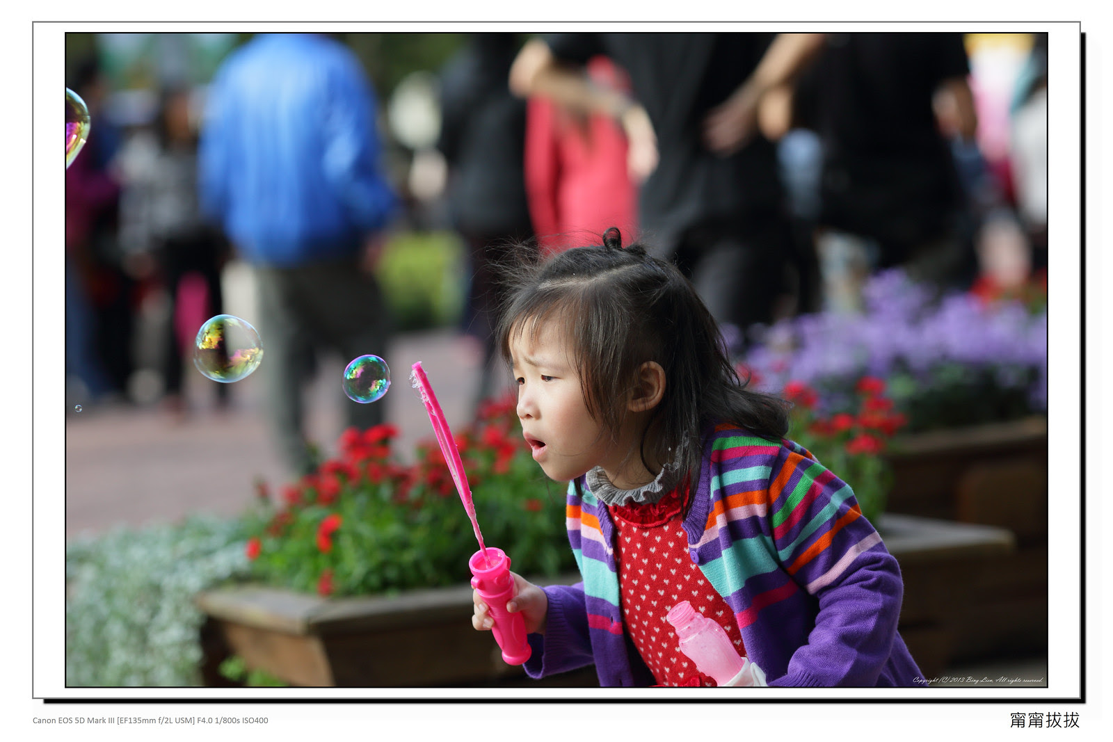 frame_BING3876