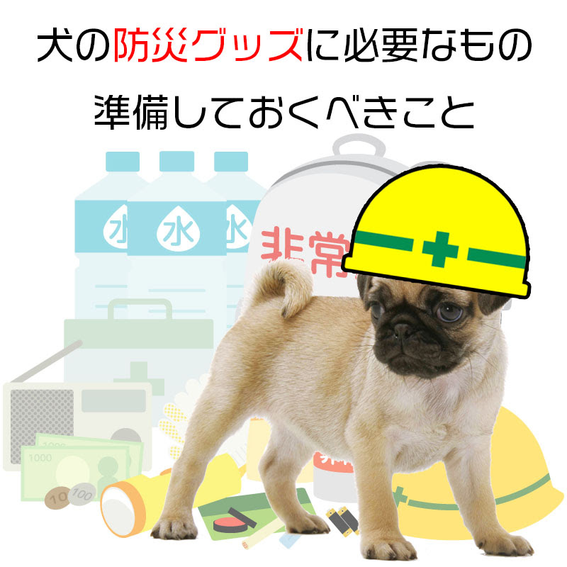 犬の防災グッズに必要なもの 準備しておくべきこと 災害から愛犬の命を守るために