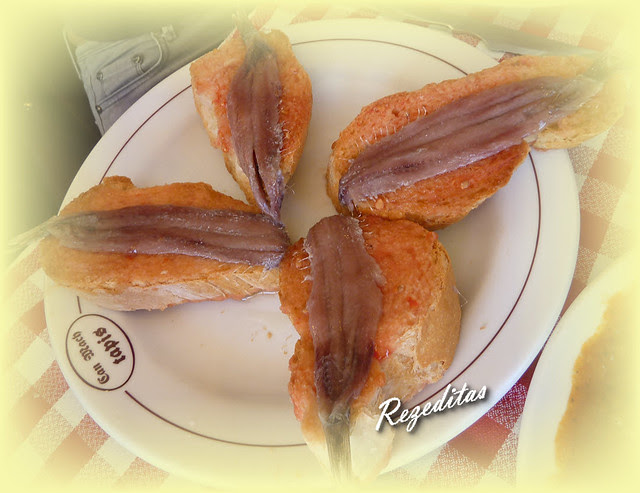 COMIDA EN CAN MACH DE TAPIS