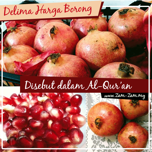10 Khasiat Dan Kelebihan Buah Delima – Pengedar, Pemborong 