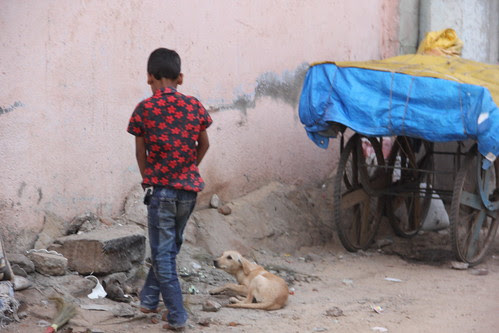 Thirsty Dog And The Peeing Child by firoze shakir photographerno1