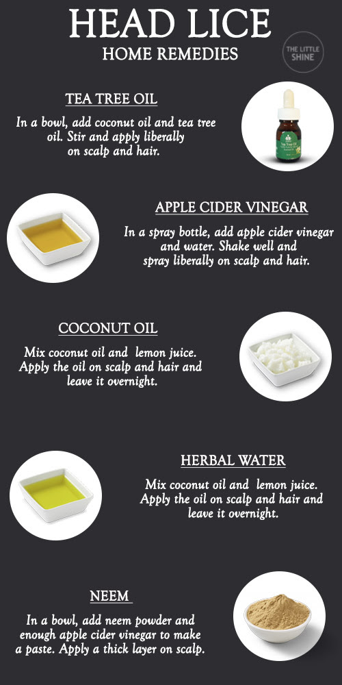 Home Remedies For Head Lice The Little Shine
