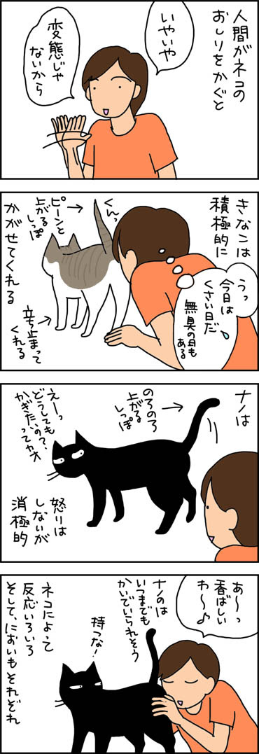 猫のお尻のにおい 4コマ猫漫画 ナノトクラス