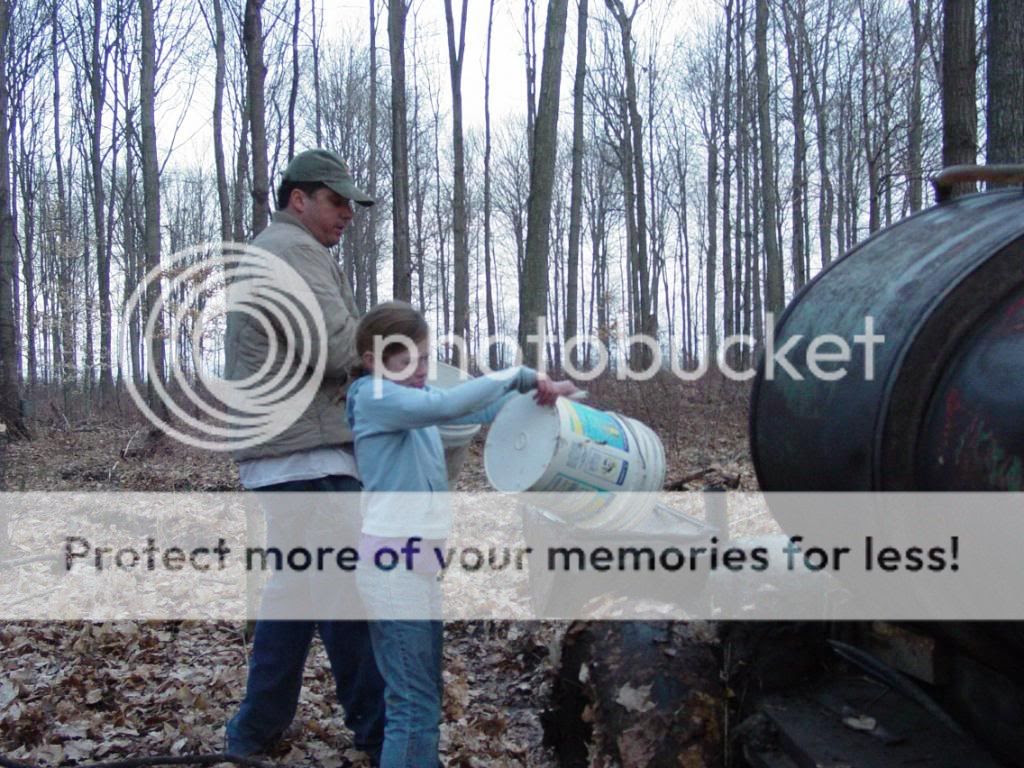 Maple Syrup 2009
