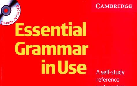 Download Kindle Editon Essential Grammar in Use 3rd Edition / Edition with answers iPad Pro PDF