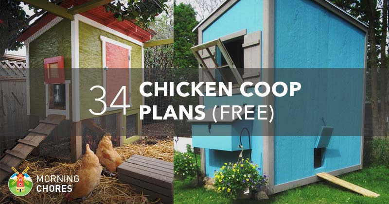 34 DIY Chicken Coop Plans that are Easy to Build (100% Free)