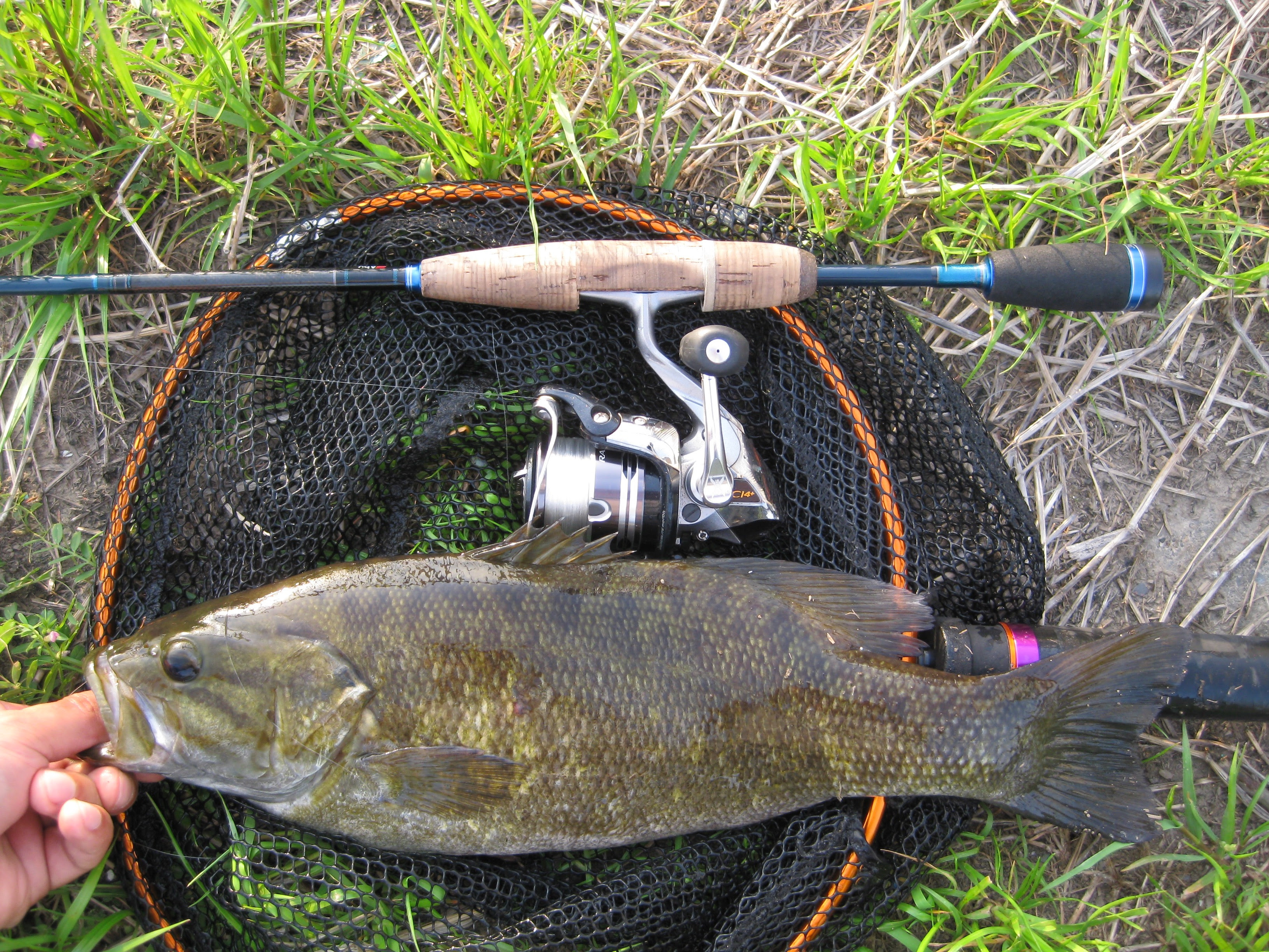 バス釣り 小貝川 夕まずめの釣果レポート Bass Magazine