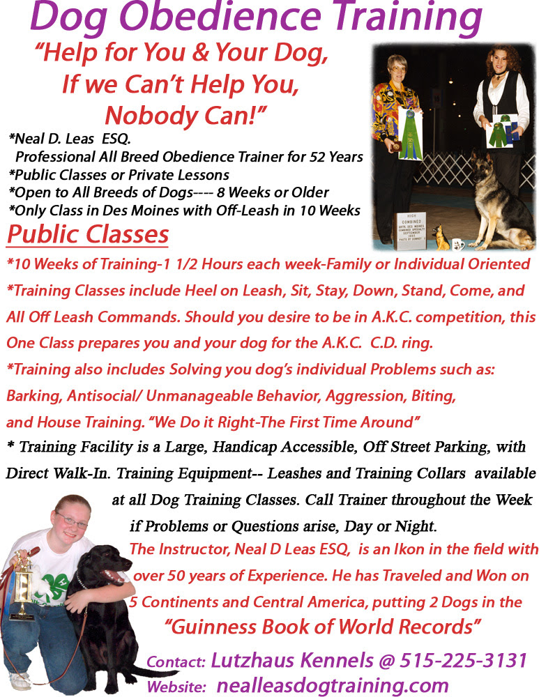 Neal Leas Dog Training
