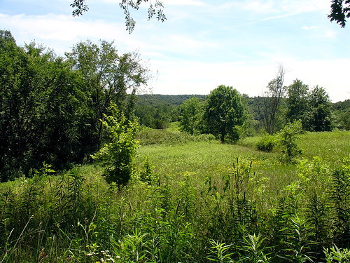 Natural Bridge State Park