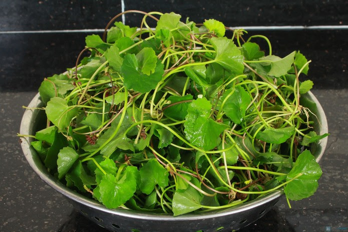 Rau má là nguyên liệu không thể bỏ qua khi điều trị sẹo lõm