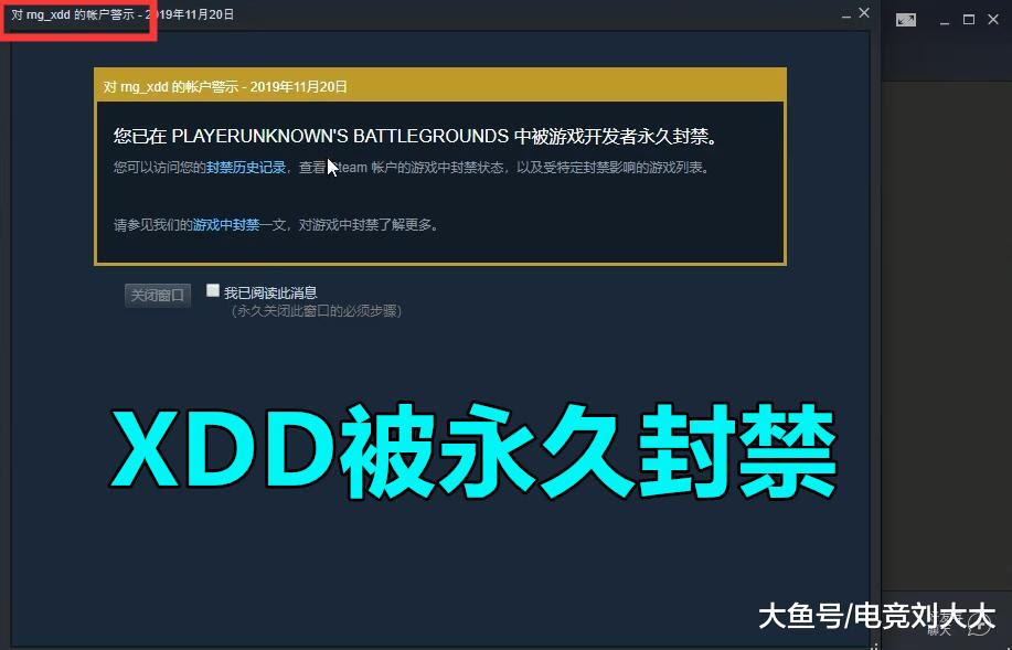 Xdd大号被永久封禁 几十万的皮肤 号找不回我不玩这游戏了 游戏资讯 八戒游戏