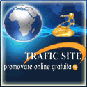 optimizare web
