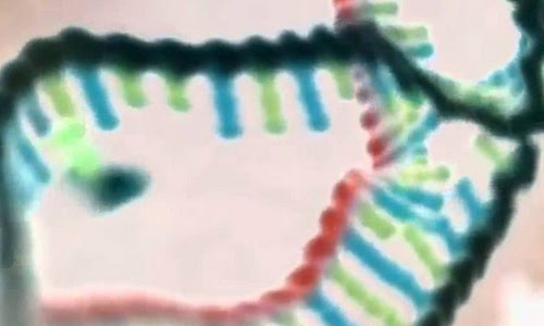 Look into the future with genetic programming