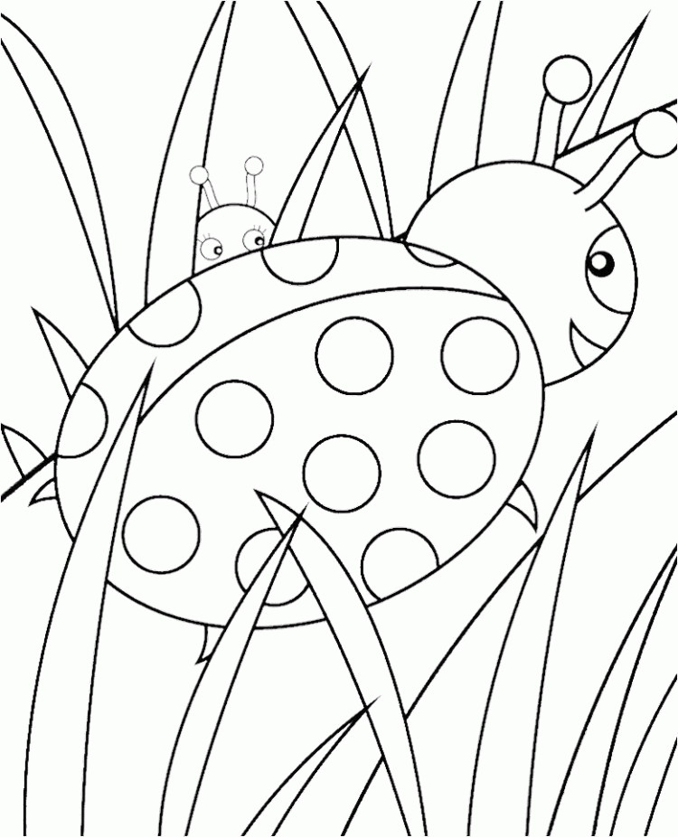 Download Cute Ladybug Coloring Pages - Coloring Home