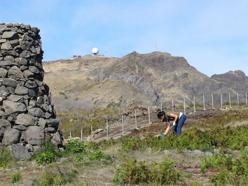 Foto 03-29.10.11