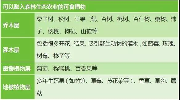 信息搜集与整理 植物种植技术 Hedgedoc