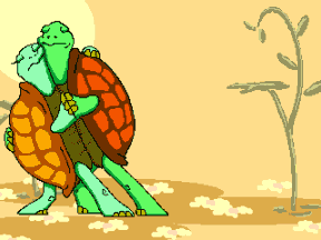 Gifs Animes Tortues Page 3