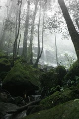 Katoomba Falls mood