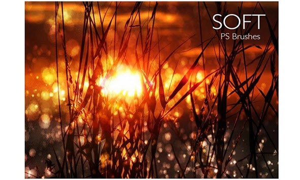 20-Soft-PS-Brushes-abr.-Vol.10---Free-Photoshop-Brushes-at-Brusheezy!