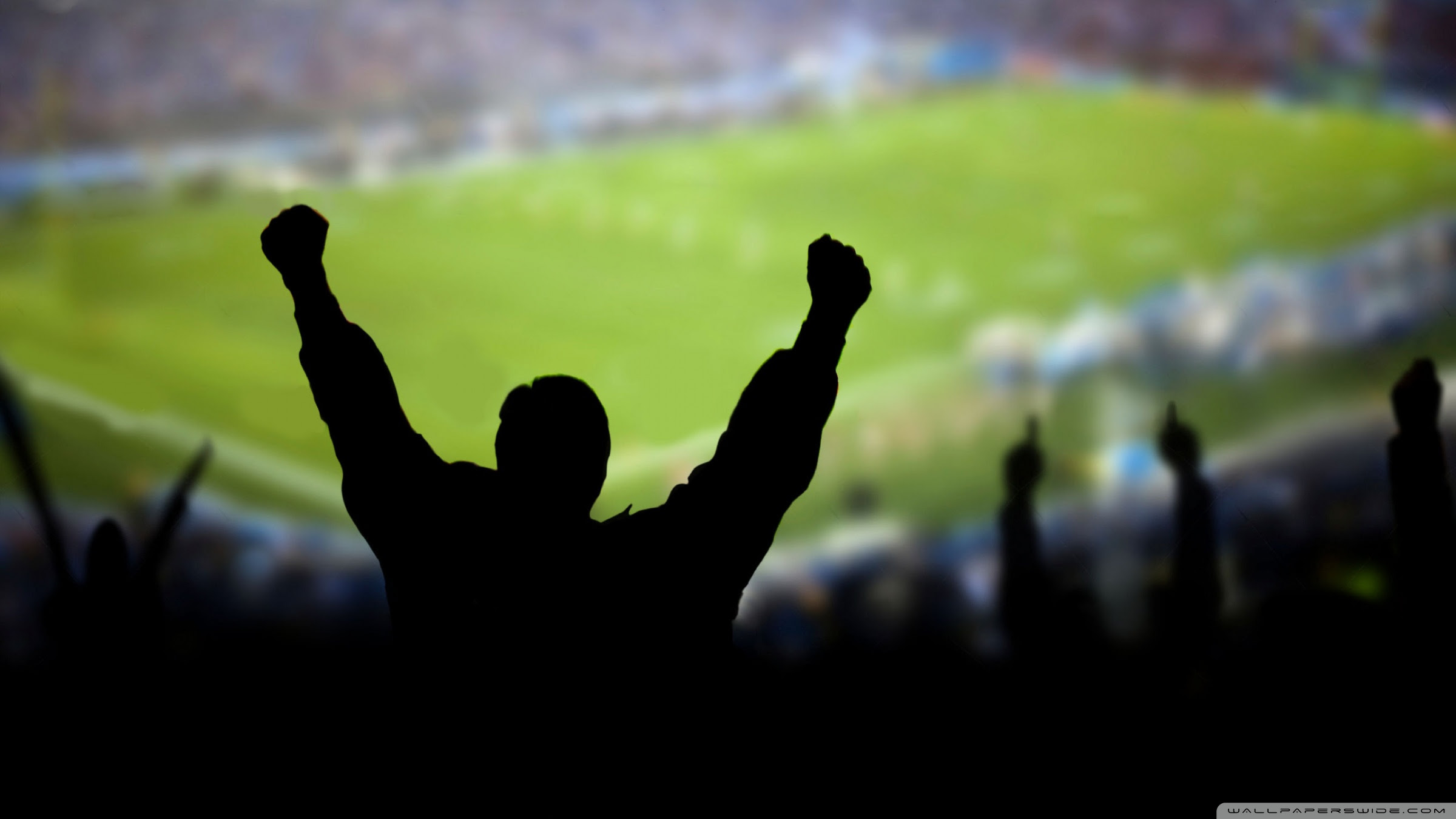 Soccer Fans 4K HD Desktop Wallpaper For 4K Ultra HD TV Dual