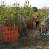 Bonadeo Farms : Cider Mills In Around Detroit Perfect For 2020 Fall Fun : Barn has room for dining, dancing, and a band.
