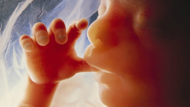 Parole D Allah Bebe Muslim L Islam Pour Les Enfants Musulmans
