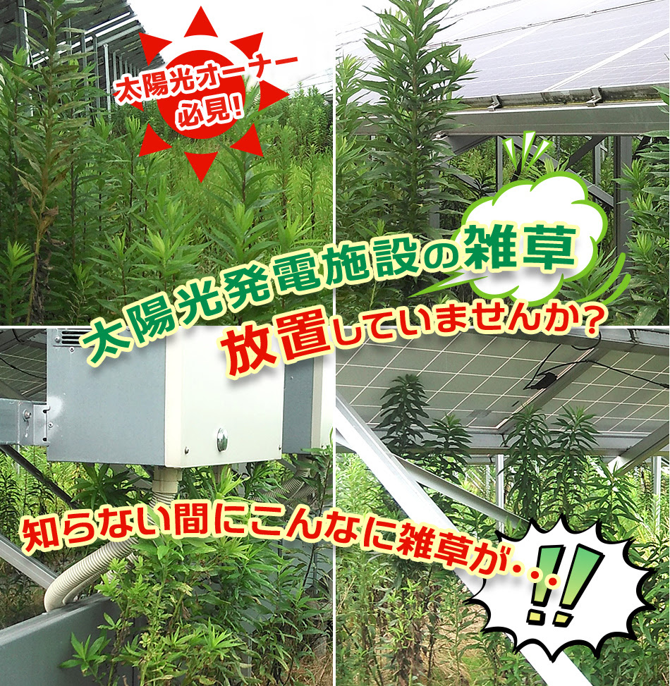 太陽光 雑草対策は防草シートがオススメ 富山