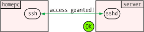 access granted