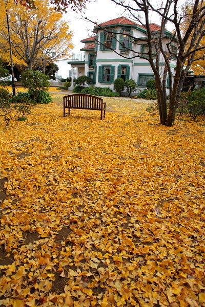 横浜山手の紅葉と山手西洋館のクリスマス 晴れたらいいね