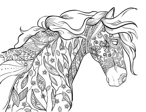 amazing world  horses adult coloring book  cindy