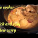 Slow Cooker Yellow Chicken Curry Download Lyrics Mp3 and Mp4